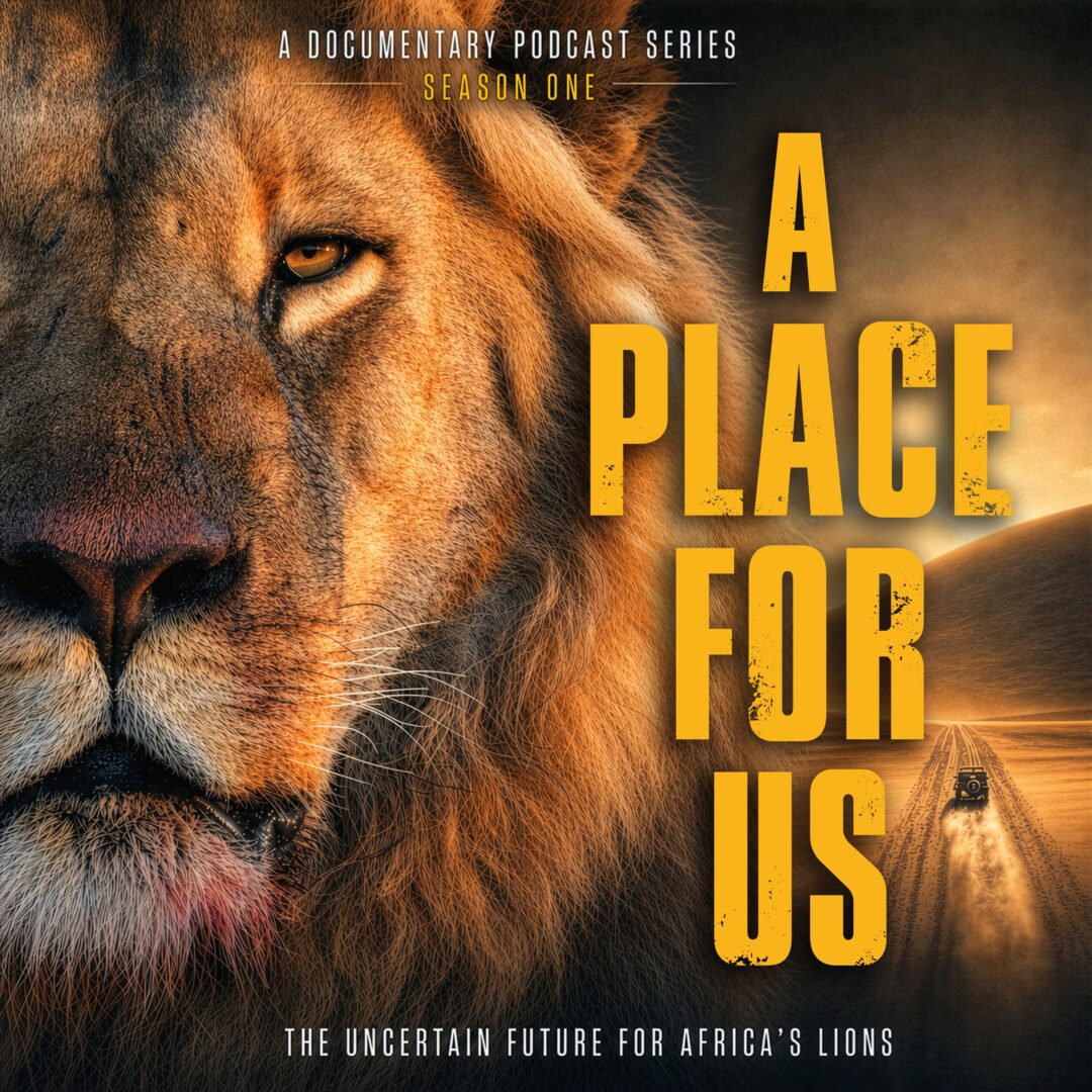 A Place For Us